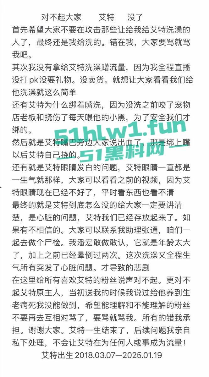 网红狗艾特疑遭训狗师【潘宏】虐待致死，女明星陈乔恩蹭热点带节奏被网友骂上热搜。-2