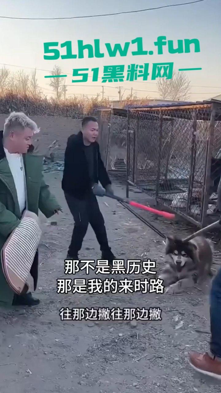 网红狗艾特疑遭训狗师【潘宏】虐待致死，女明星陈乔恩蹭热点带节奏被网友骂上热搜。-7