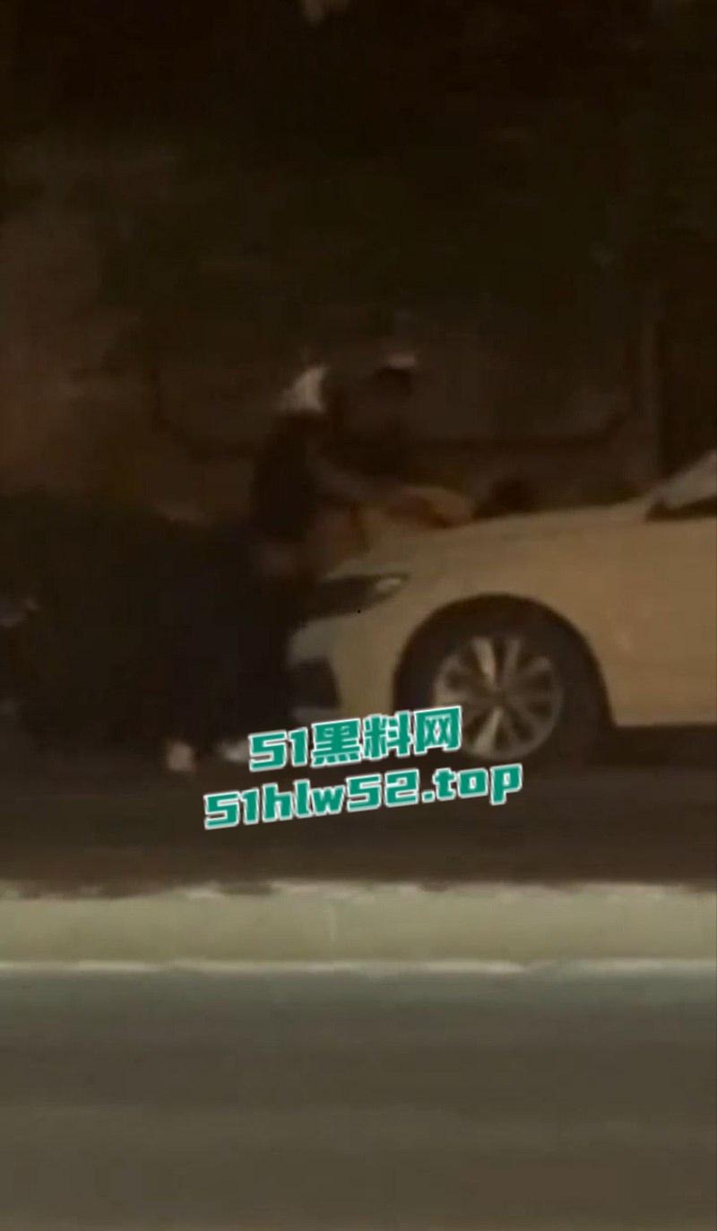 濮阳华府山水路边惊现野鸳鸯引擎盖大战，全过程被瓜友友拍下，野战视频全网疯传！-4